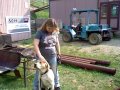HNI_0070.JPG